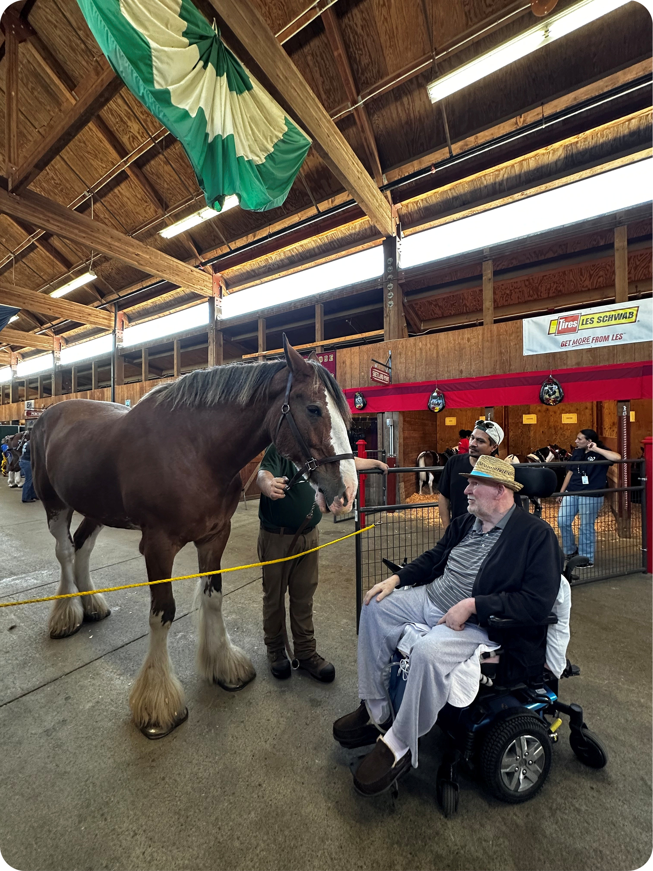 Vern with Horse New Chap 1